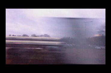 dandelion wine + the birds