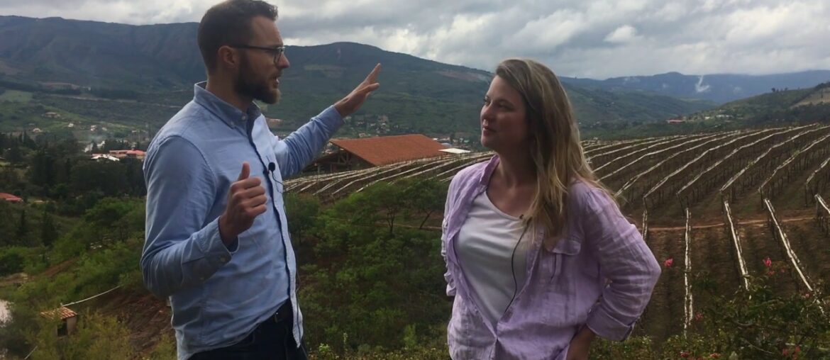 Bolivia's Santa Cruz valleys & Samaipata wine region: Guide to Bolivian wine Bolivia's Santa Cruz valleys & Samaipata wine region: Guide to Bolivian wine