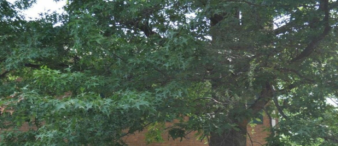 5847 RICHARDSON MEWS SQUARE, HALETHORPE, MD Presented by Joanie Hynes.