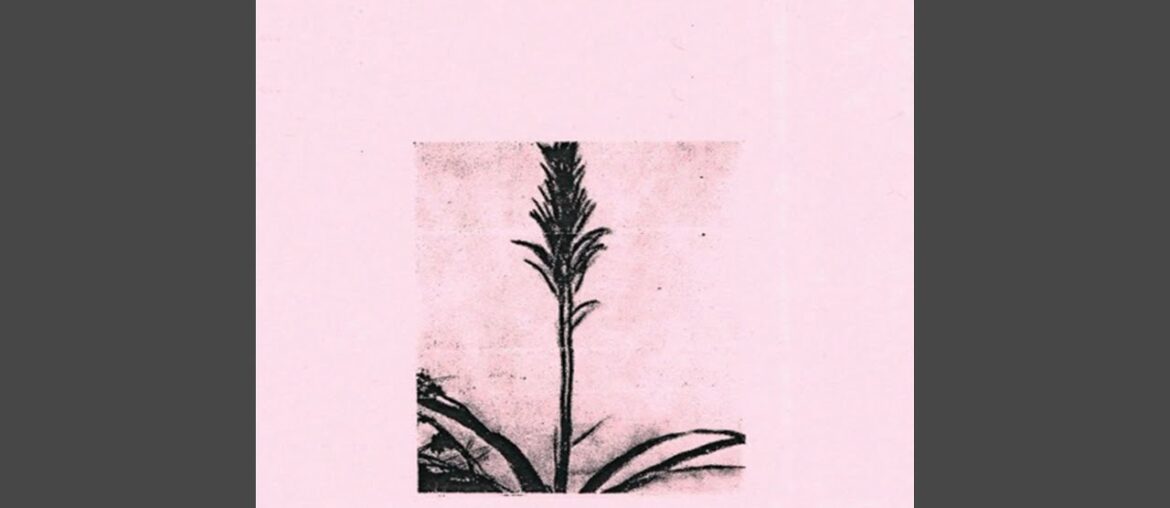 Loire Valley: The Garden of France