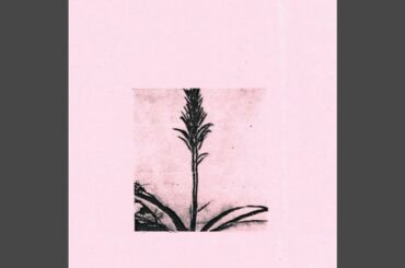 Loire Valley: The Garden of France