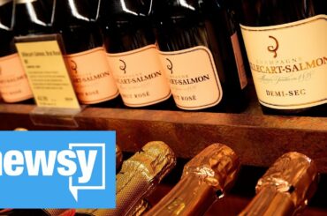 US tariffs could damage wine import industry