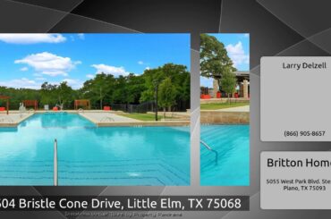 3604 Bristle Cone Drive, Little Elm, TX 75068