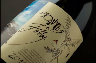 WINE INVESTMENT - The First Ultra-Premium Chilean Syrah: Montes Folly