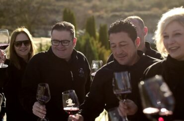 Conde de San Cristóbal - Harvest 2019