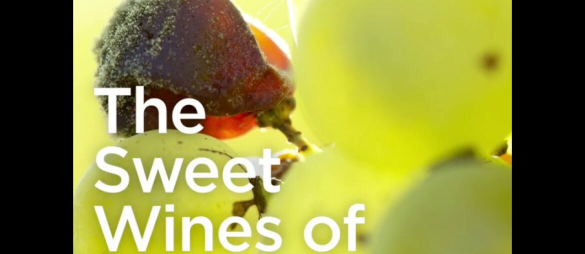 The Sweet Wines of Bordeaux