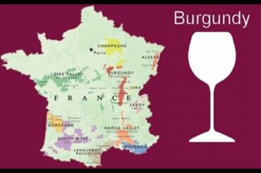What is Burgundy Wine