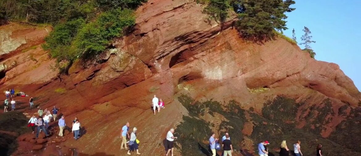 Savour the Sea Caves: An Ocean Floor Culinary Adventure - French