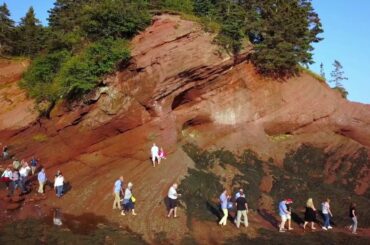 Savour the Sea Caves: An Ocean Floor Culinary Adventure - French