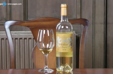 Lions de Suduiraut, wine review