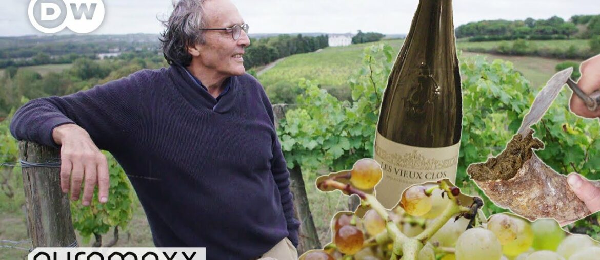 How a Former Wall Street Banker Created One of the World's Best White Wines | Euromaxx How a Former Wall Street Banker Created One of the World's Best White Wines | Euromaxx