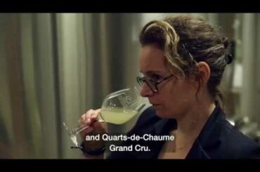 Domaine des Forges - Interview with Stéphane et Séverine Branchereau, owners & winemakers.