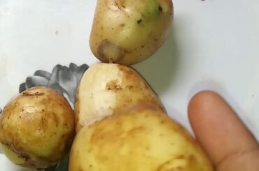 French fries preparation//alu based recipe