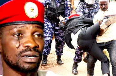 SHOULD BOBI WINE GIVE UP THE STRUGGLE?  (THIS IS THE ANSWER)