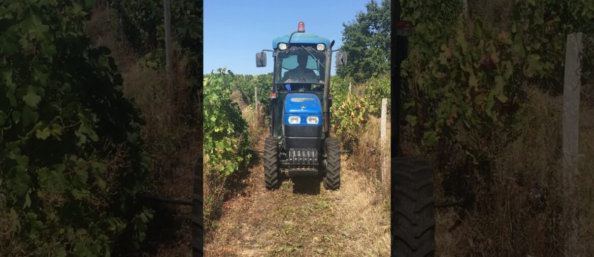 Tactile Vineyard Steering in France - 2019