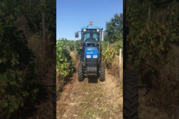 Tactile Vineyard Steering in France - 2019