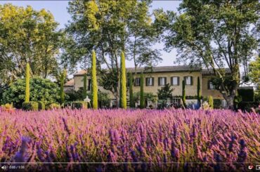 Domaine Clos Saint Estève - boutique bed & breakfast in Provence