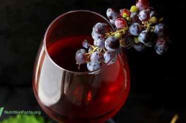 The Best Source of Resveratrol