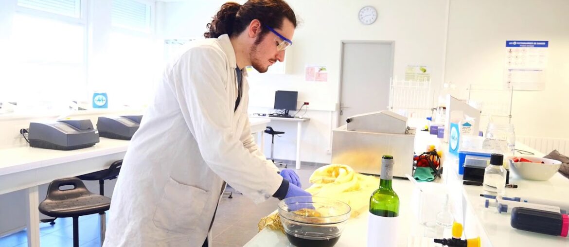 French Wine Le Vin à la française