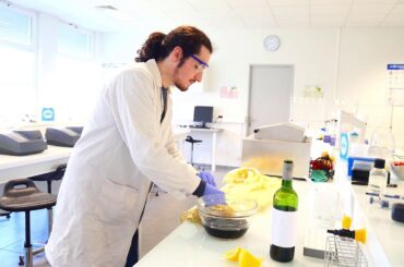 French Wine Le Vin à la française