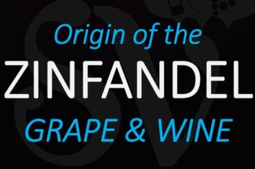 The Origin of Zinfandel - American/California Wine Grape History