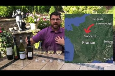 A Study in Sauvignon Blanc