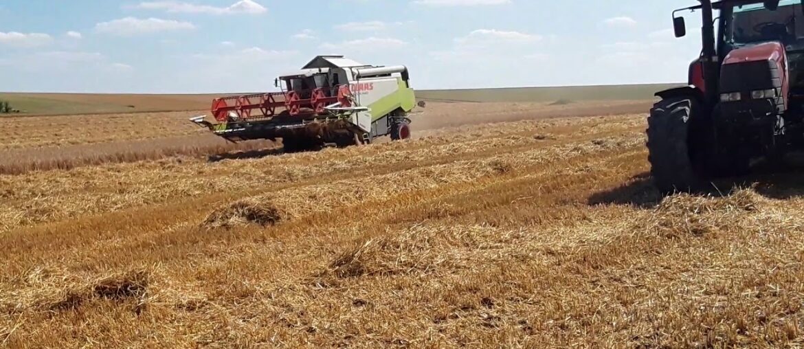 Harvest In France 2018