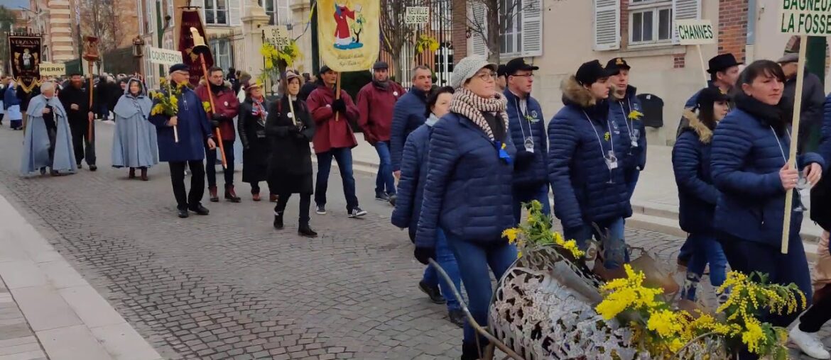 Saint Vincent de la Champagne @ Epernay, Champagne 2020 – Part 7 Saint Vincent de la Champagne @ Epernay, Champagne 2020 - Part 7