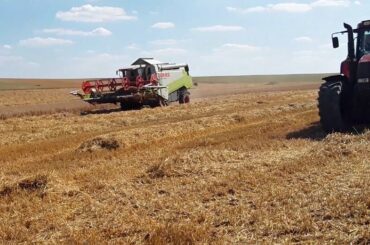 Harvest In France 2018