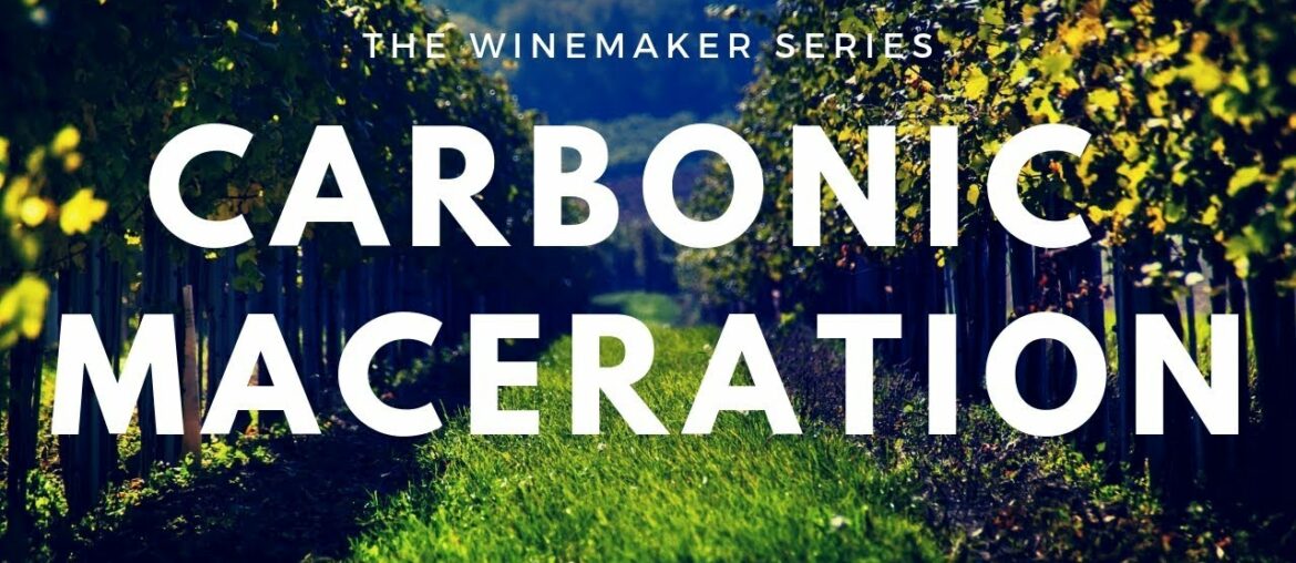 Carbonic Maceration - Wine making process and Beaujolais tasting