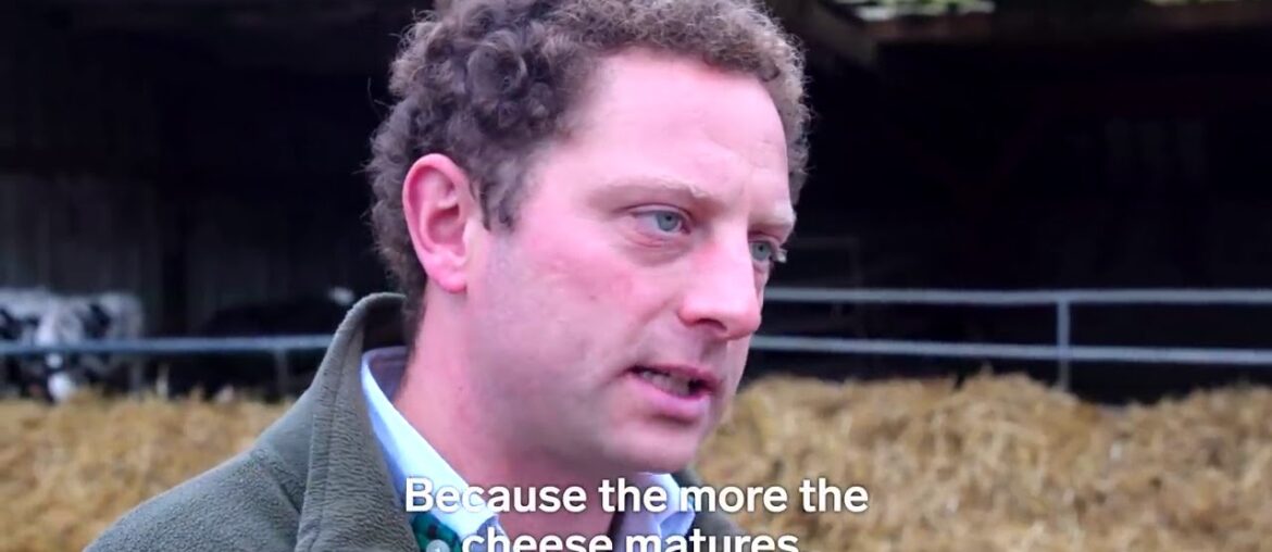 How Traditional French Camembert Is Made   Regional Eats