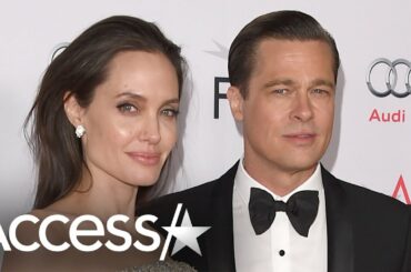Brad Pitt And Angelina Jolie's Winery Is Thriving Despite Their Split