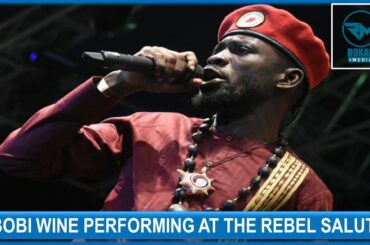 Bobi Wine Performing At The Rebel Salute 2020 In Jamaica !!!! | Rokani Media