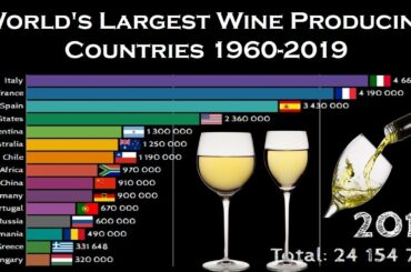 World's Largest Wine Producing Countries 1960-2019 | Top 15 Wine Producing Countries 1960-2019