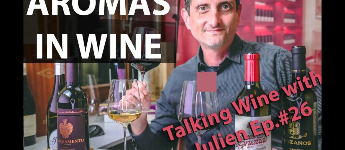 Why wine tastes like different fruits? | Explained Why wine tastes like different fruits? | Explained