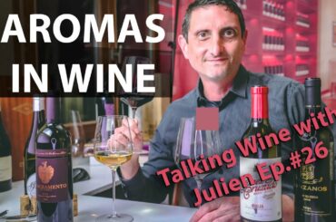 Why wine tastes like different fruits? | Explained