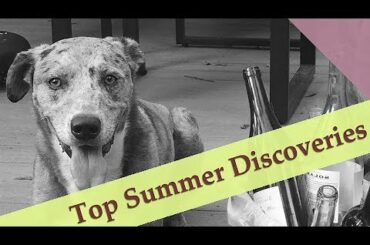 Favorite Wine Discoveries: Summer 2019