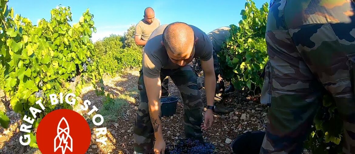 Visiting a French Winery Run by Veterans Visiting a French Winery Run by Veterans