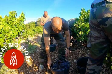 Visiting a French Winery Run by Veterans