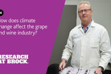 How does climate change affect the grape and wine industry?