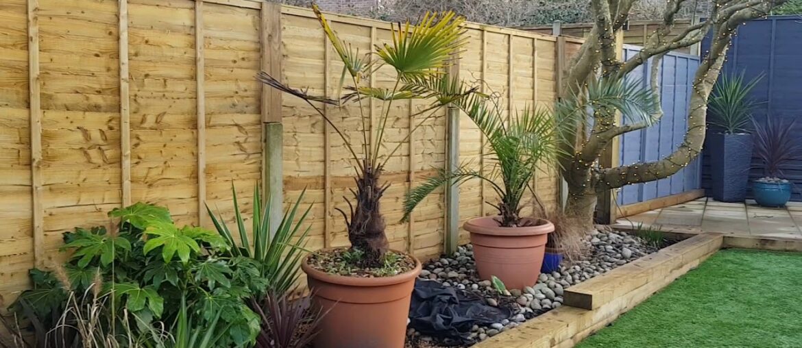 Lovely garden and red wine the knotman