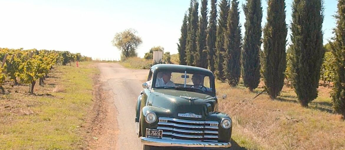 Les Domaines Paul Mas - Languedoc-Roussillon