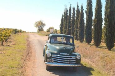 Les Domaines Paul Mas - Languedoc-Roussillon