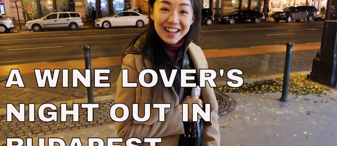 Hungarian Wine: Night Out in Budapest, VLOG