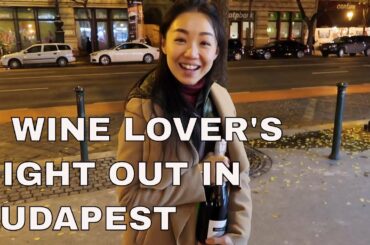 Hungarian Wine: Night Out in Budapest, VLOG