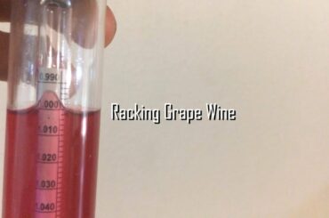 Mustang Grape Wine: Racking Step 2