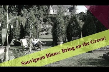 Sauvignon Blanc Wines: 3 from 3 Countries