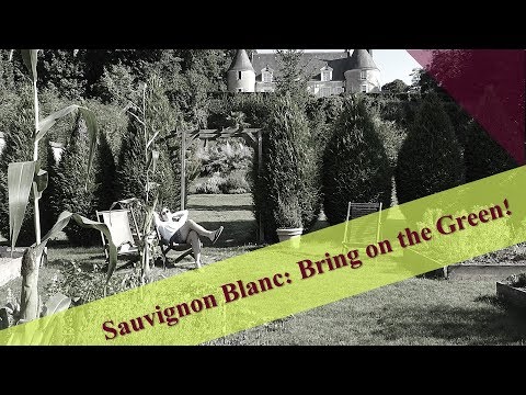 Sauvignon Blanc Wines: 3 from 3 Countries Sauvignon Blanc Wines: 3 from 3 Countries