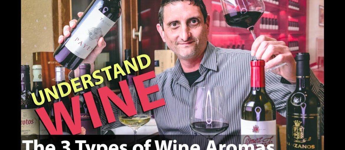 Wine Bouquet Vs Aroma - What Makes the Taste of Wine?