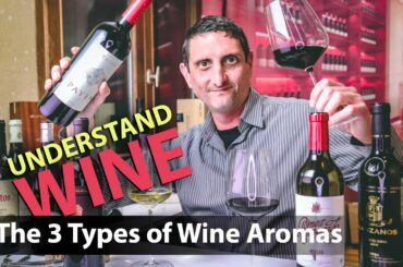 Wine Bouquet Vs Aroma - What Makes the Taste of Wine?